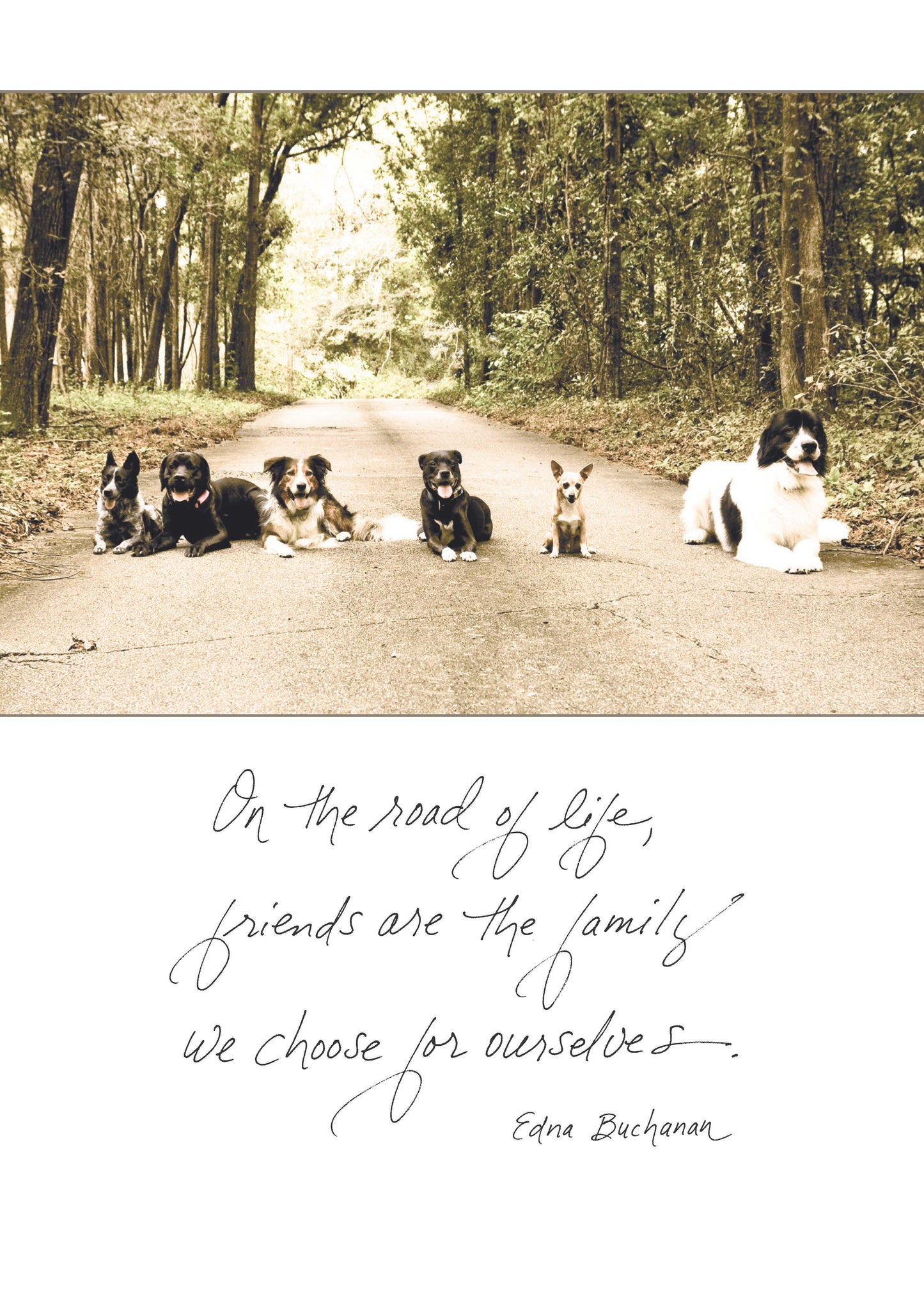 564b: on the Road of Life, Friends Are the Family We Choose for Ourselves. - Edna Buchanan