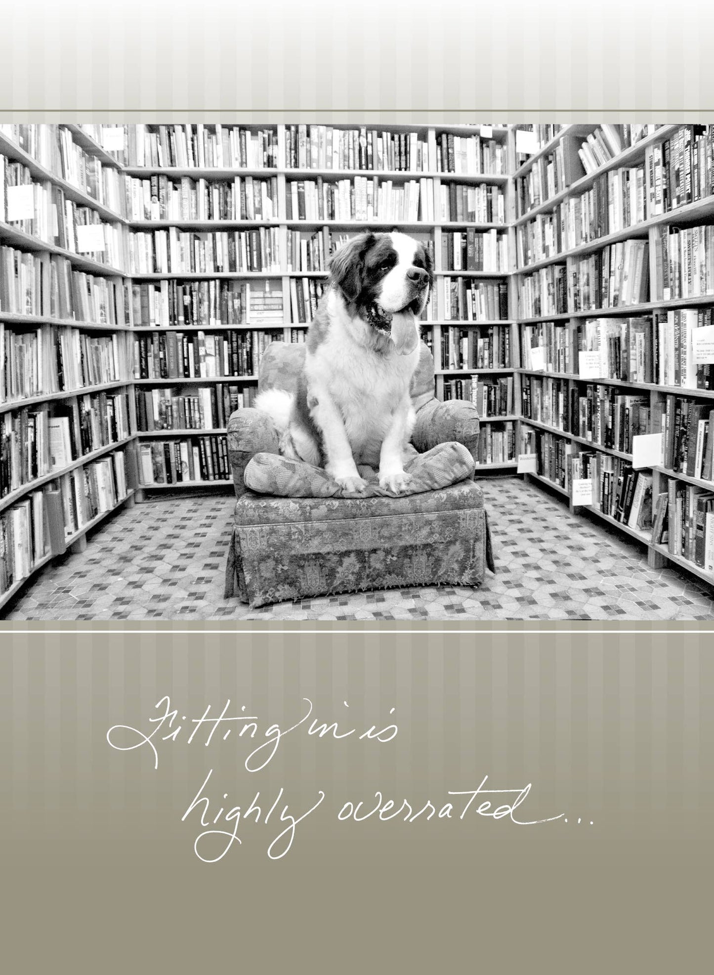 447F: Fitting in Is Highly Overrated...