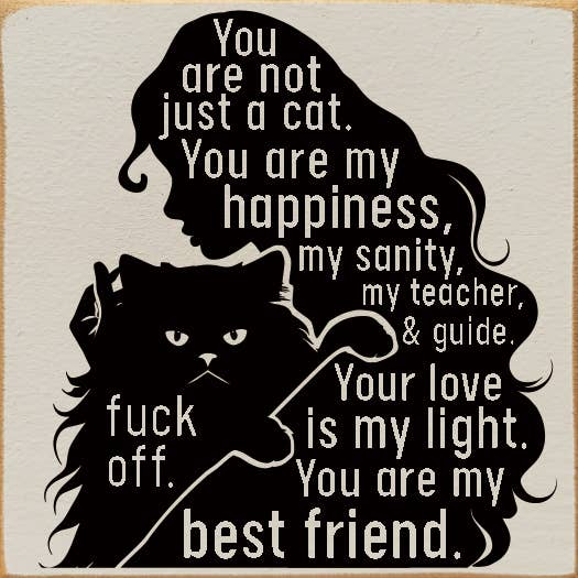 You are not just a cat. You are my happiness, my sanity sign