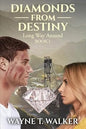 Diamonds From Destiny: Book 2 Following the Trail