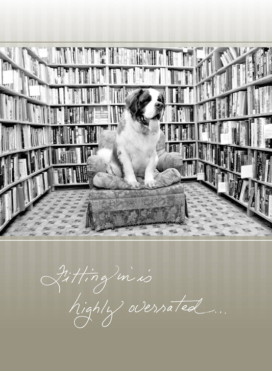 447F: Fitting in Is Highly Overrated...