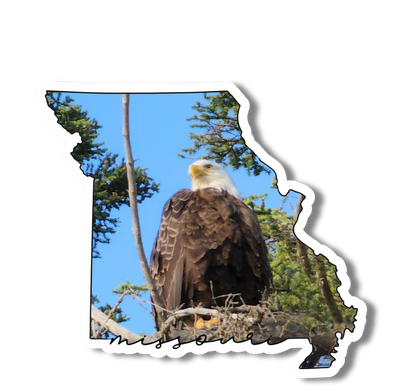 Missouri State Eagle 3" Sticker