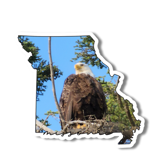 Missouri State Eagle 3" Sticker
