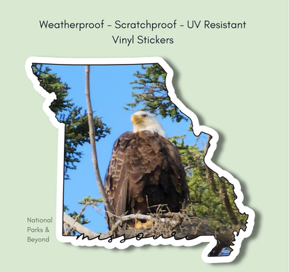 Missouri State Eagle 3" Sticker
