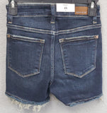 Judy Blue High Waist Destroyed Shorts