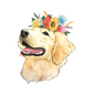 Flower Crown Golden Retriever Sticker